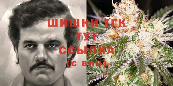 spice Лагань