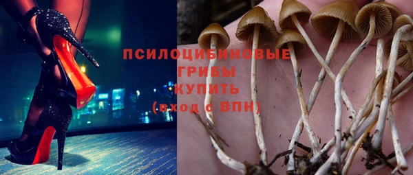 jwh Ладушкин