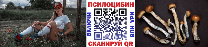 Псилоцибиновые грибы Cubensis  Спасск 